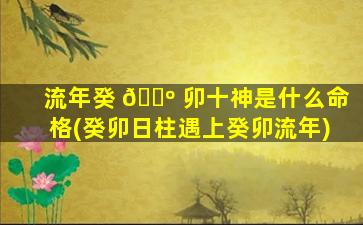 流年癸 🌺 卯十神是什么命格(癸卯日柱遇上癸卯流年)
